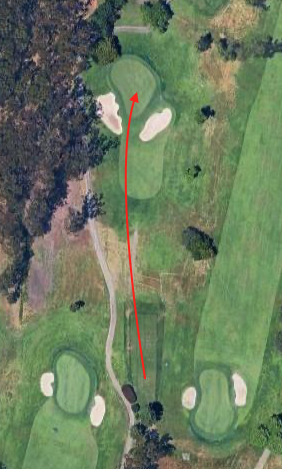 Hole 11 overhead par 3: tee at bottom toward green top, red arrow line of play drawing slightly left toward green flanked by two front bunkers, trees and cart path left, open grass right